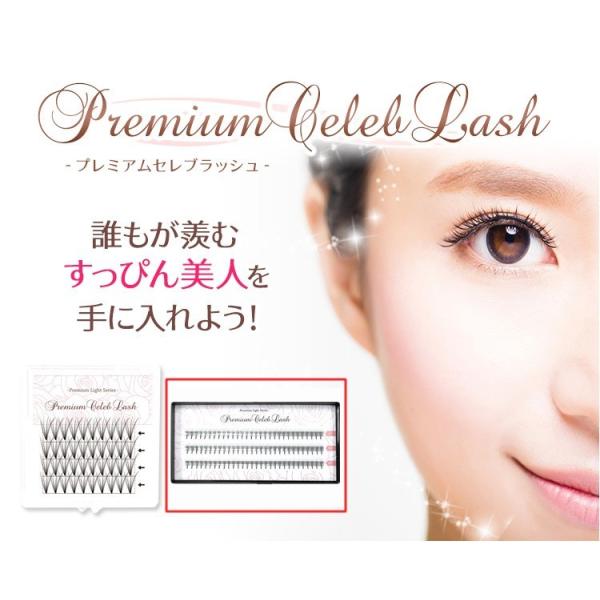 まつげエクステ 5点補充セット B 0 06mm 極細 プレミアムセレブラッシュ 2個 日本製 卑弥呼or瞬グルー選択 Erhamah Com