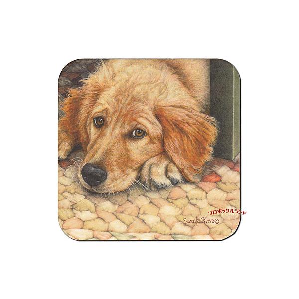 USA製のカントリーデザインのコースターです。明るいパステルカラーのようなデザインからシックな色合いまで50種類以上を販売しています。表面はラミネート加工がしてありますので水や熱にも強いです。サイズ（約）：9.5cm角ｘ厚0.3cm／アメリ...