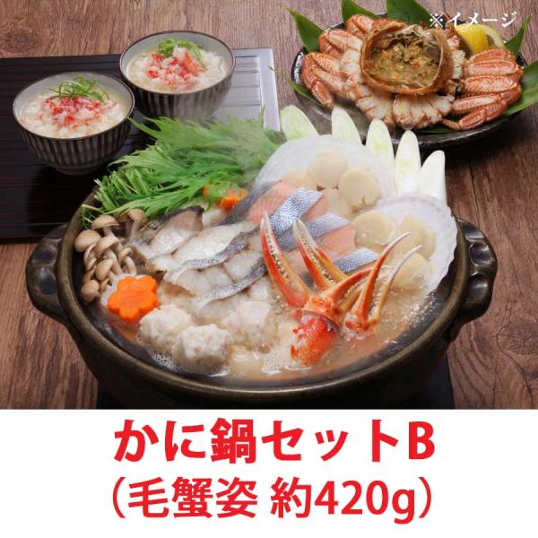 毛蟹　かに鍋セットB　４人前　毛蟹姿　420g×1　冷凍便