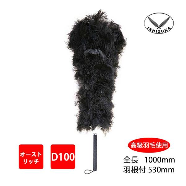 koryomarket-ostrich_20100