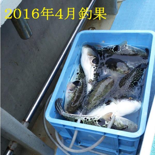 トラフグ釣り トラフグ飲ませ串針シリーズ 胴突き仕掛け パワーオヤコサルカン道糸直結式 Buyee Buyee 日本の通販商品 オークションの代理入札 代理購入