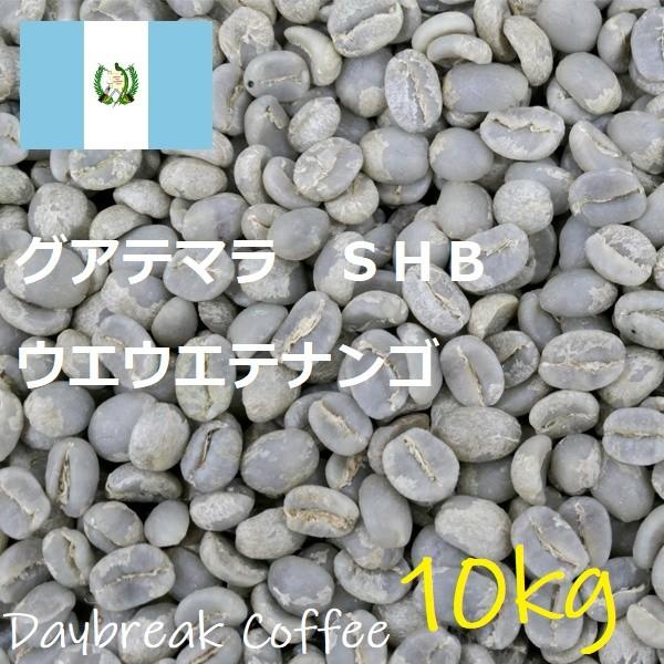 コーヒー生豆 グアテマラSHBウエウエテナンゴ 10kg 送料無料 グリーン  