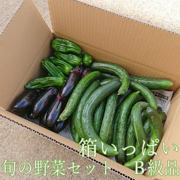 旬の野菜セット 新潟産 箱いっぱい野菜セット Ｂ級 傷あり 夏野菜 高原野菜 農家野菜 農家直送 日替わり 野菜セット