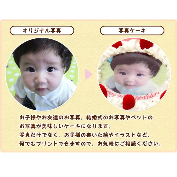写真ケーキ(丸) 6号 生クリーム【冷凍 到着後は冷蔵庫で3〜4時間保管解凍】 キャラクターケーキ 誕生日ケーキ あすつく 土日祝出荷OK 直径18cm /【Buyee】 写真ケーキ(丸) 6号 生クリーム【冷凍 到着後は冷蔵庫で3〜4時間保管解凍】 キャラクターケーキ 誕生日ケーキ あすつく 土日祝出荷OK 直径18cm /【Buyee】