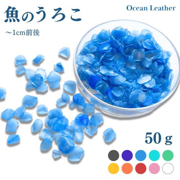 【ウロコ 素材 50ｇ】国産 魚 鱗 天然素材 レジン ハンドメイド アクセサリー パーツ ピアス イヤリング ブレスレット チャーム アート オーシャン レザー