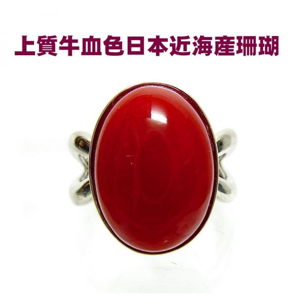 kotanijewel_m240167249 kotanijewel_m240167249