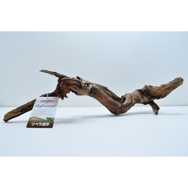 リベラ ウッドナローm 流木 1個 アクぬき処理済み 約 40cm 1216 3 1 有限会社高知熱帯魚サービス 通販 Yahoo ショッピング