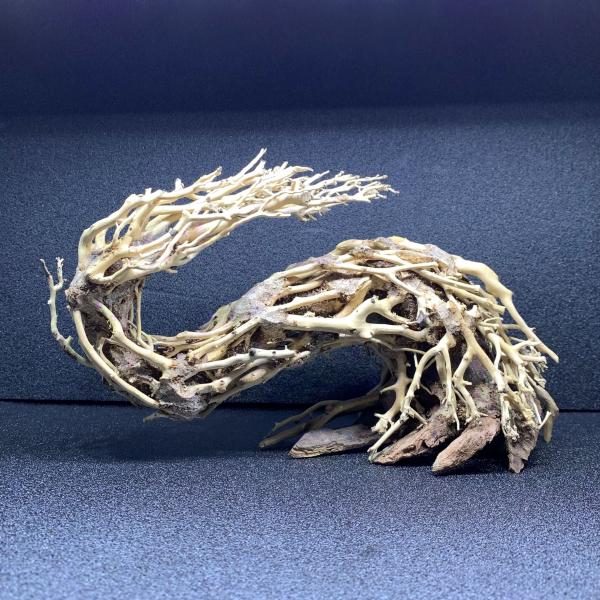 カミハタ 昇龍樹 Sサイズ 流木 盆栽 水景BONSAI 創作流木 神畑 : 有限