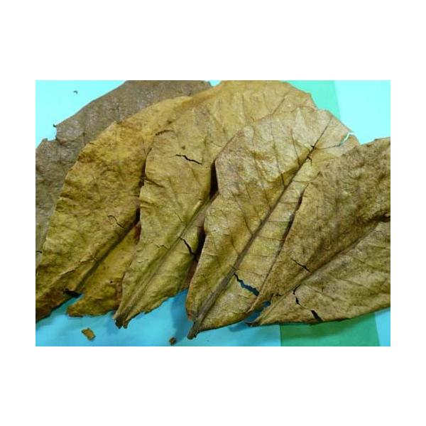 マジックリーフは自然由来の植物です。これを入れる事でベタが生息している自然の水質に近づける事ができます。また、抗菌作用もあります。（使い方）・1Lに対して約2cm角に切って飼育水へ入れて下さい。溶けてきたら新しい物を追加して入れて下さい。