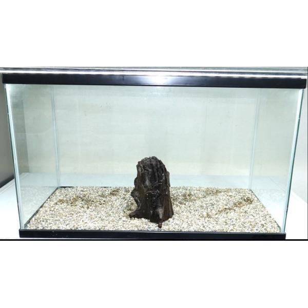 プレミアムスタンプウッド【PSW002】流木 アク抜き処理 アクアリウム プレミアムスタンプウッド【PSW002】流木 アク抜き処理 アクアリウム