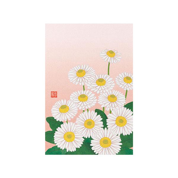 ポストカード デイジー柄(80020006) 春 絵葉書 株式会社デザインフィル
