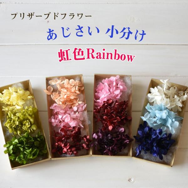 あじさいを使いやすく小分けした4色セット　レインボー色ハーバリウム やアロマワックスバー、レジンアクセサリー、ボタニカルサシェ、ハンドメイドに色々な用途で使えます。千日紅をオプションでお選びできます（有料） ★あじさい4色セットのお値段です...