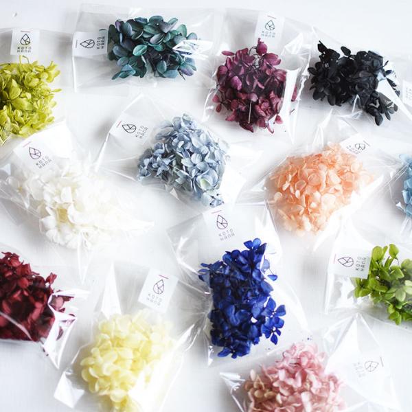 あじさいを使いやすく小分けしたサイズでお届けします。ハーバリウム やアロマワックスバー、レジンアクセサリー、ボタニカルサシェ、ハンドメイドに色々な用途で使えます。 ★あじさい１色のお値段です。★カラー：レッド・ピンク・イエロー・ホワイト・ブ...