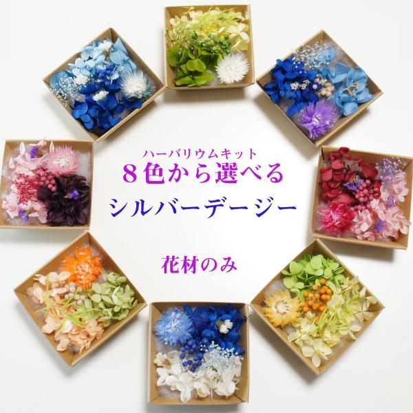 ハーバリウム サシェ 髪飾りなどの花材のみを販売しています。ハーバリウムではボトル１本分の花材です。★花材のみボトル・オイルは別途販売しています。ボトル１００ml〜１５０mlに最適な花材の量です。オイルと瓶のセットも別途ございます。http...