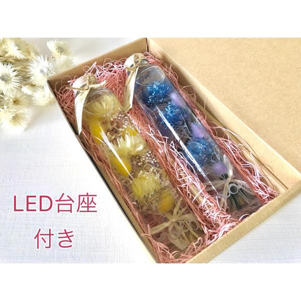 ハーバリウム 紫 赤 黄 青 緑12色から2本選ぶ LED台座付 ハーバリウム 紫 赤 黄 青 緑12色から2本選ぶ LED台座付
