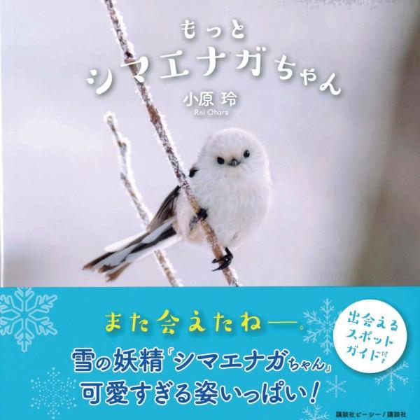 小原玲 もっとシマエナガちゃん 写真集 ことりカフェオンラインショップ 通販 Yahoo ショッピング