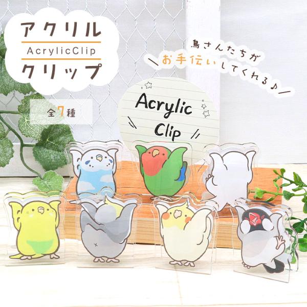 【ことりすまいる】ことりのアクリルクリップ ◆ゆうパケット対応◆ クリップ 文房具 文具 インテリア オカメ セキセイ コザクラ インコ 文鳥 お手伝い