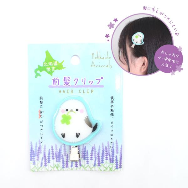 kotorismile_377000007000