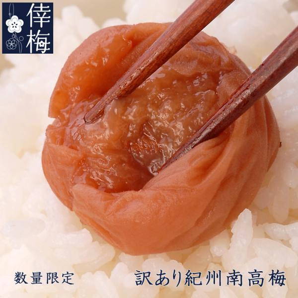 【お得！業務用9kg】天日塩と梅だけの紀州南高梅 koubai_ichi-1111