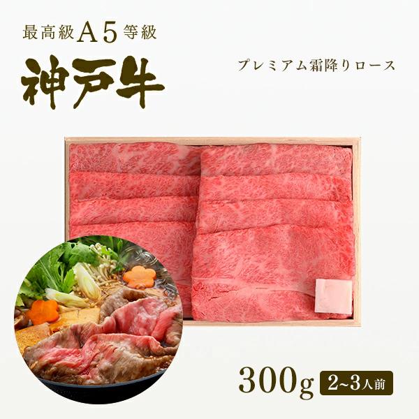 _ˋ 蕨 Mtg A5 _ˋA5 _ˋ~v~A[X Ă 300gi2`3lOj_˃r[t