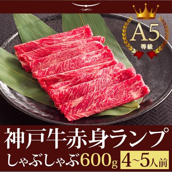 _ˋ vԂ Mtg _ˋA5 IԐgv Ԃ 600 (4`5lO)