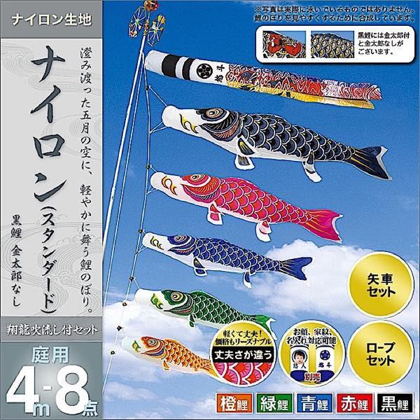 ̂ڂ 뉀p   ƖEOEʐ^\ uiC 4m8_Zbg v