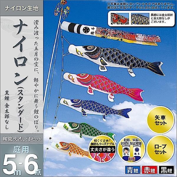 ̂ڂ 뉀p   ƖEOEʐ^\ uiC 5m6_Zbg v