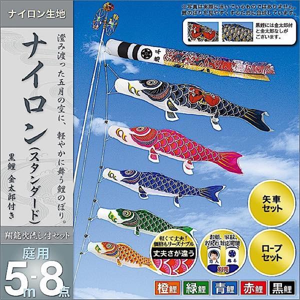 ̂ڂ 뉀p   ƖEOEʐ^\ uiC 5m8_Zbg v