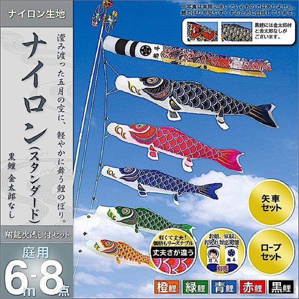 ̂ڂ 뉀p   ƖEOEʐ^\ uiC 6m8_Zbg v