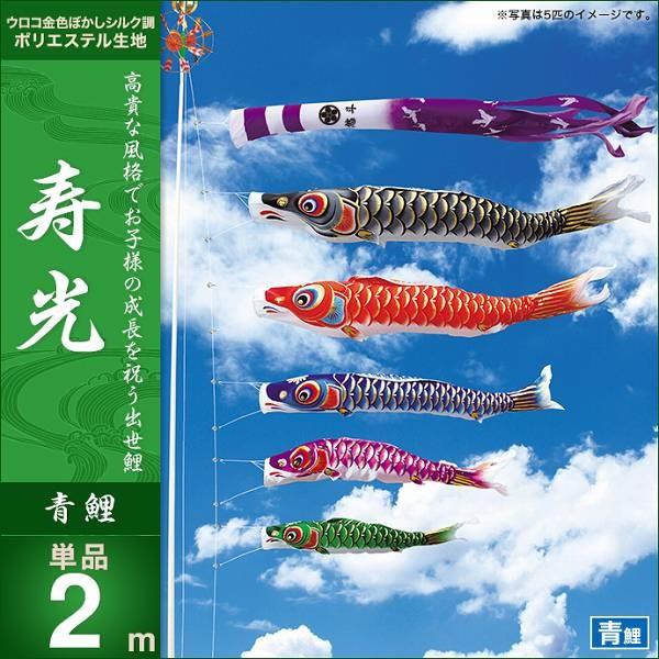 ̂ڂ 뉀p LO   2m Pi &amp;ls