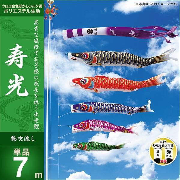 ̂ڂ 뉀p LO  2019NV  7m Pi &amp;ls