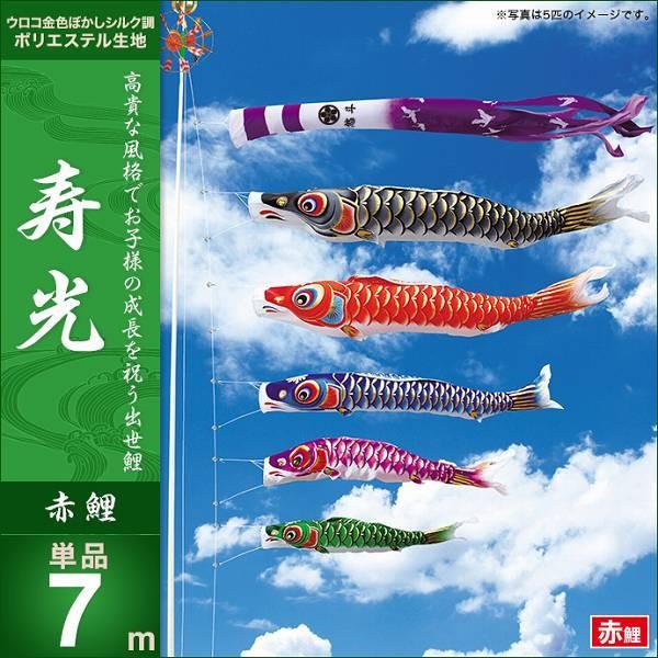 ̂ڂ 뉀p LO  2019NV  Ԍ7m Pi &amp;ls