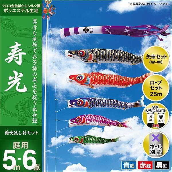 ̂ڂ 뉀p LO  2019NV  5m 3C6_Zbg