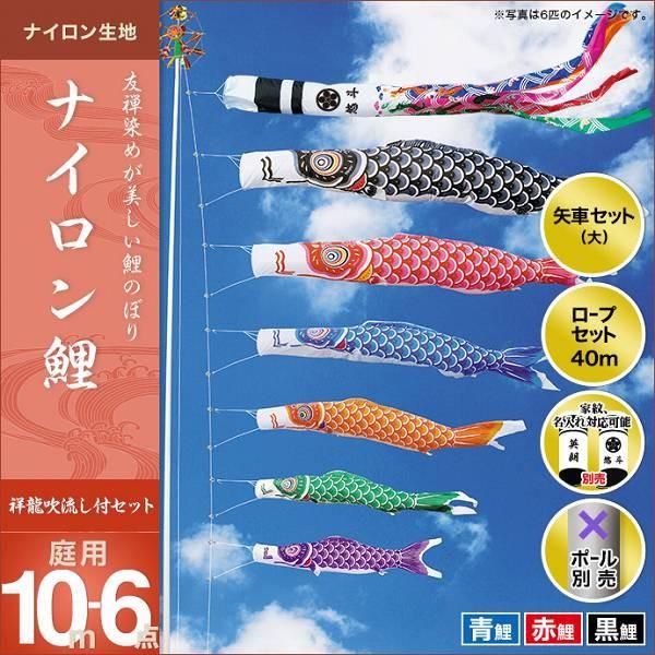 ̂ڂ 뉀p LO  2019NV iCi˗j 10m 3C6_Zbg