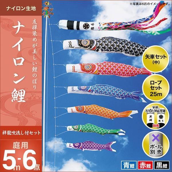 ̂ڂ 뉀p LO  2019NV iCi˗j 5m 3C6_Zbg