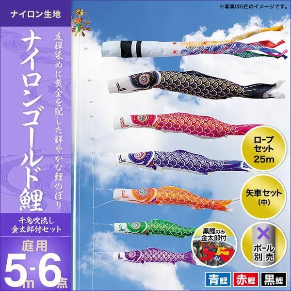 ̂ڂ 뉀p LO  2019NV iCS[hi璹jYt 5m 3C6_Zbg