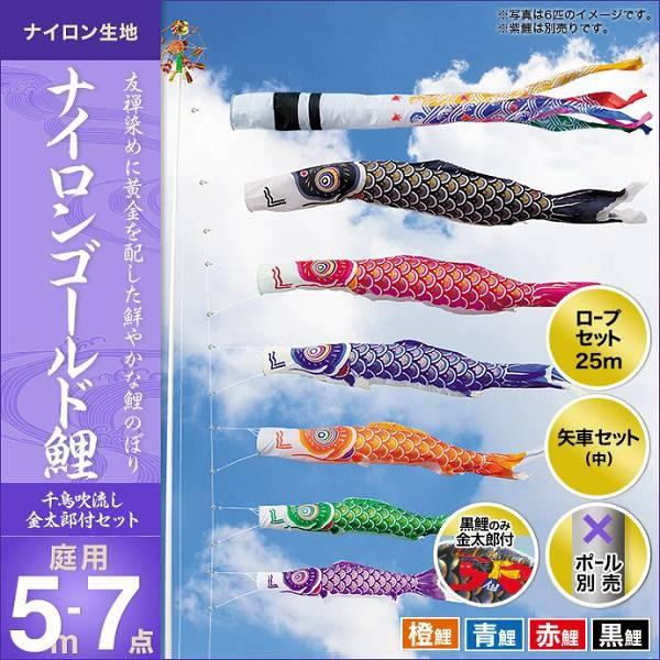 ̂ڂ 뉀p LO  2019NV iCS[hi璹jYt 5m 4C7_Zbg