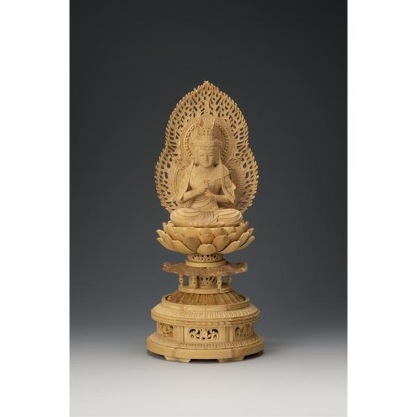 {ѐA@ؑ dΉw 2.5 15-1  ؒ tBMA IuWF CeA u CeAIuWF d 