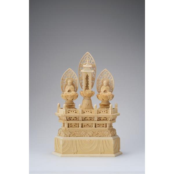 O O 1.0 39-6  ؒ tBMA IuWF CeA u CeAIuWF d 