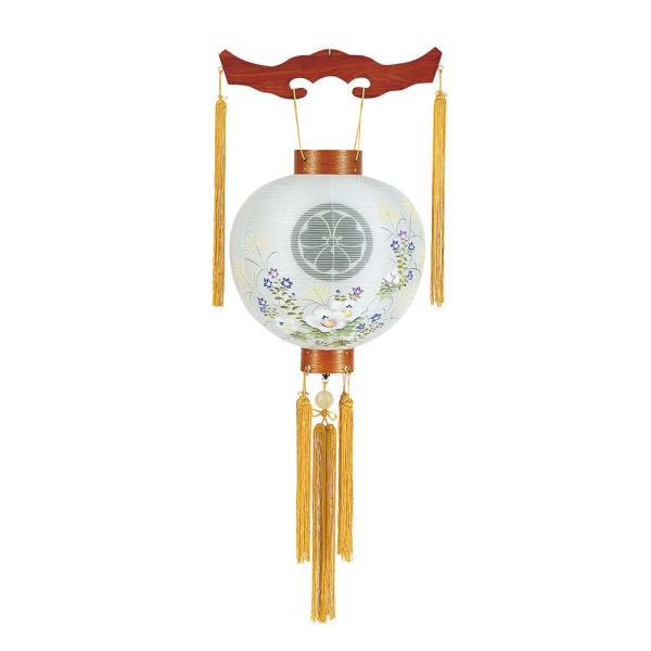 ~ Ɩp Ɩpa PL O 40W  d G u PL˔ _ ~ ~pi Ɩ V~ ~ ~ 