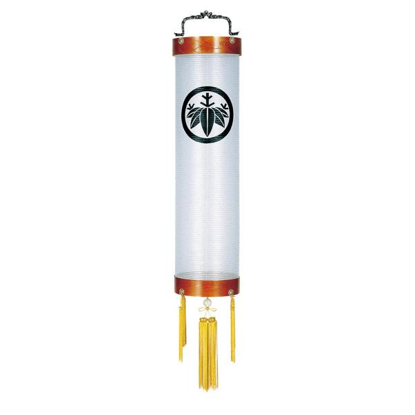 ~ Ɩp ƖpZg PL 8 25W  n PL˔ _ ~ ~