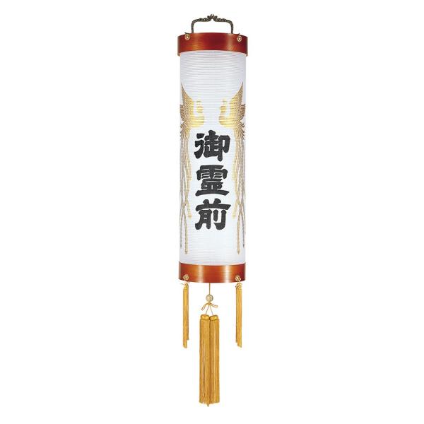 ~ Ɩp ƖpZg PL 12 25W  P O PL˔ _ ~ ~