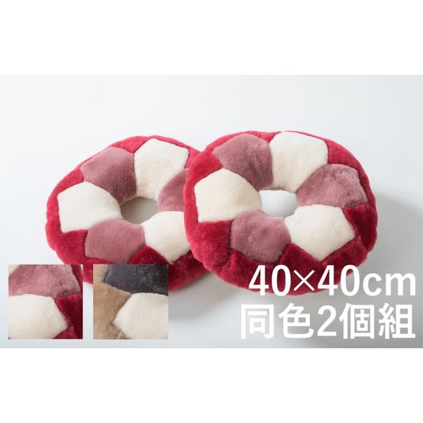 ~NbV F2g 40×40cm yzcENbVz