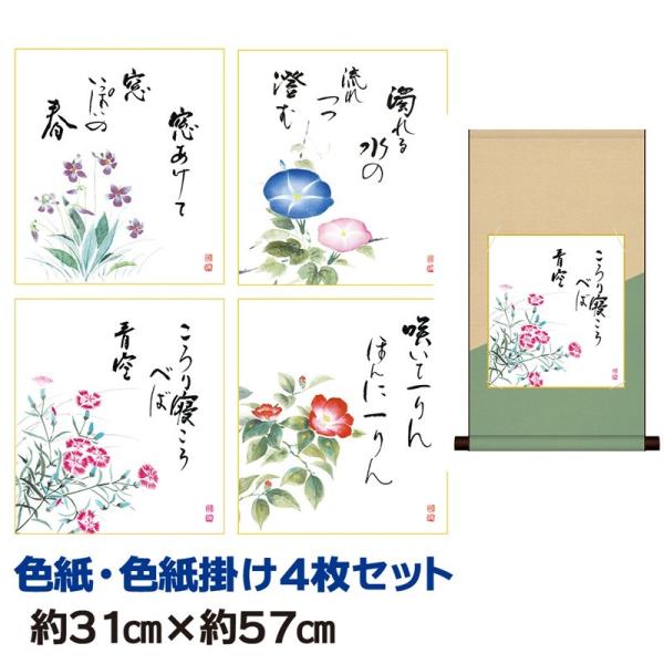 F|Zbg 액  RΖZbg b ȃfUCF| 31×57cm ʓFH|F