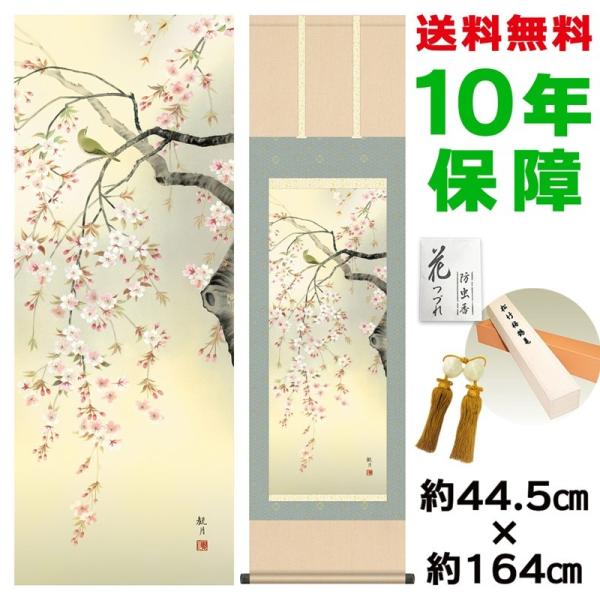 | ̊ _  XRό jq{\ 44.5×164cm V{ 10Nۏ [ h  t {̋  ̓ ̓