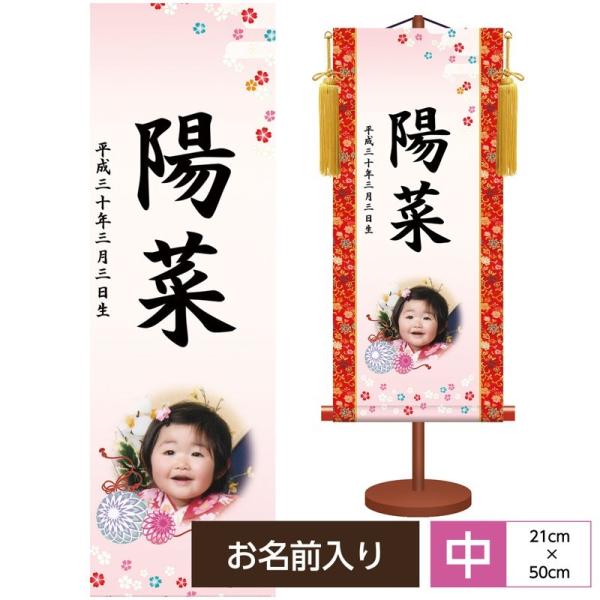 O _FT| ʐ^ K{ {iEjqFԏ- ϔ[E[tEpX^ht ʐ^EO