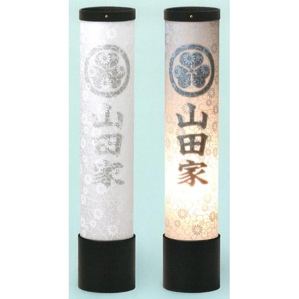 ~ n  520 V 40WNA _ ~ RpNg ~ ~j