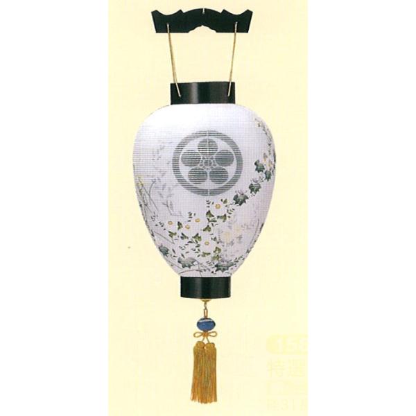 ~ Ɩ IOgh _ ~ ~ ~ V~ ~ 