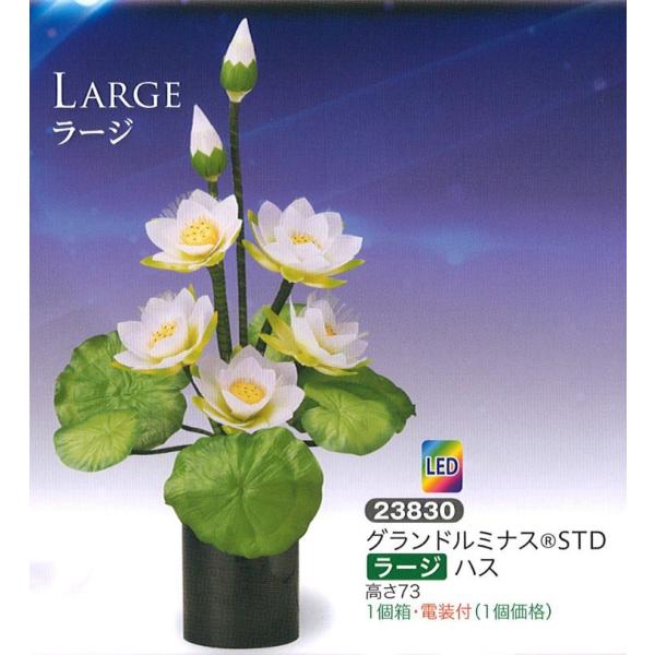 ~ led Oh~iX(R)STD [W nX LED _ ~ RpNg ~ ~j