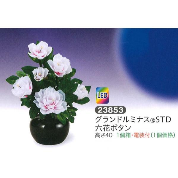 ~ led Oh~iX(R)STD Zԃ{^ LED _ ~ RpNg ~ ~j